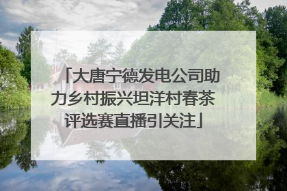 大唐宁德发电公司助力乡村振兴坦洋村春茶评选赛直播引关注