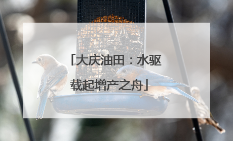 大庆油田：水驱载起增产之舟