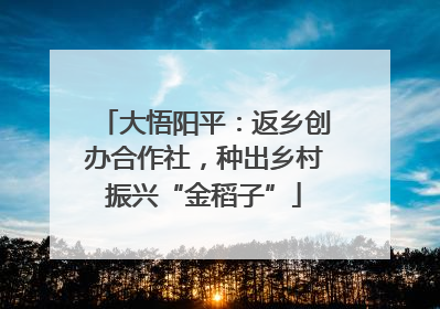 大悟阳平：返乡创办合作社，种出乡村振兴“金稻子”