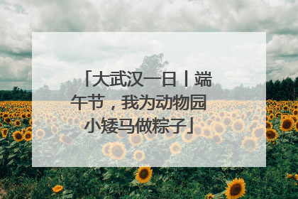 大武汉一日丨端午节，我为动物园小矮马做粽子