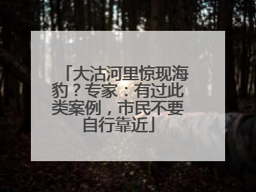 大沽河里惊现海豹？专家：有过此类案例，市民不要自行靠近