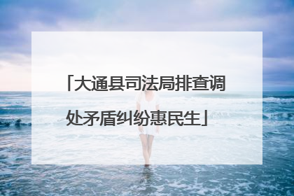 大通县司法局排查调处矛盾纠纷惠民生