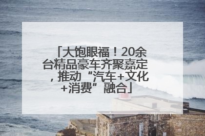 大饱眼福！20余台精品豪车齐聚嘉定，推动“汽车+文化+消费”融合