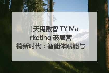 天禹数智 TY Marketing 破局营销新时代：智能体赋能与人才培育双轮驱动