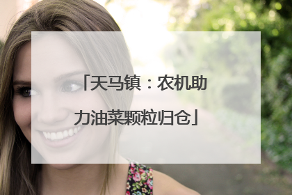 天马镇：农机助力油菜颗粒归仓
