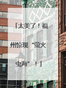 太美了！福州惊现“萤火虫海”！