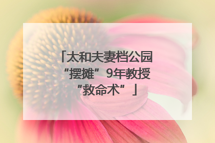 太和夫妻档公园“摆摊”9年教授“救命术”
