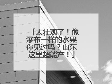 太壮观了！像瀑布一样的水果你见过吗？山东这里超能产！