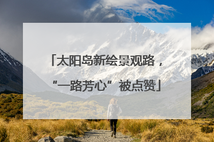 太阳岛新绘景观路，“一路芳心”被点赞
