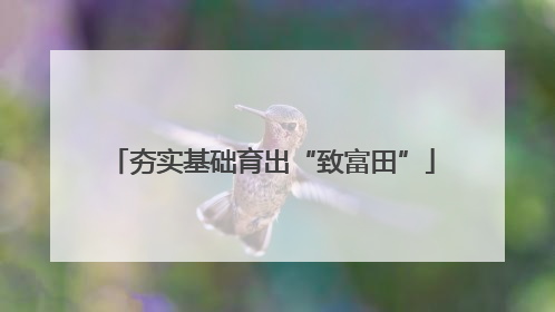 夯实基础育出“致富田”