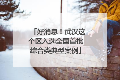 好消息！武汉这个区入选全国首批综合类典型案例