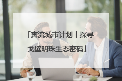 奔流城市计划丨探寻戈壁明珠生态密码