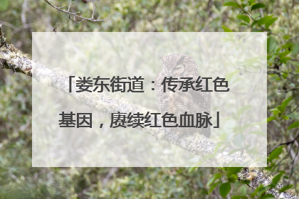 娄东街道：传承红色基因，赓续红色血脉