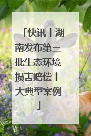 快讯丨湖南发布第三批生态环境损害赔偿十大典型案例
