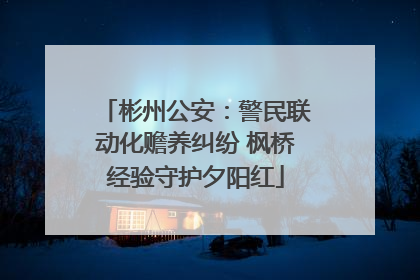 彬州公安：警民联动化赡养纠纷 枫桥经验守护夕阳红