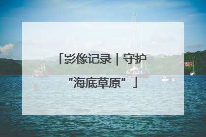 影像记录｜守护“海底草原”