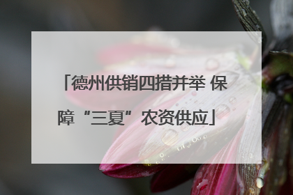 德州供销四措并举 保障“三夏”农资供应