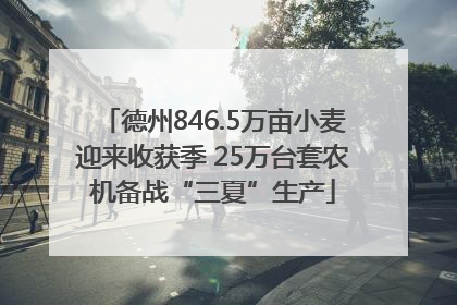 德州846.5万亩小麦迎来收获季 25万台套农机备战“三夏”生产