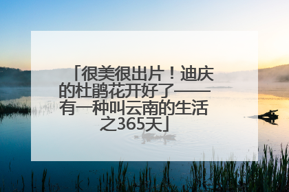很美很出片！迪庆的杜鹃花开好了——有一种叫云南的生活之365天