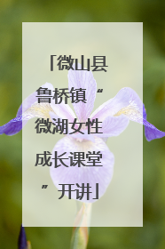 微山县鲁桥镇“微湖女性成长课堂”开讲
