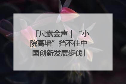 尺素金声｜“小院高墙”挡不住中国创新发展步伐