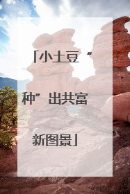 小土豆“种”出共富新图景