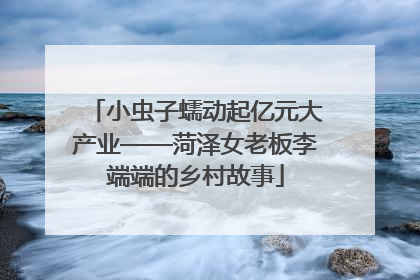 小虫子蠕动起亿元大产业——菏泽女老板李端端的乡村故事