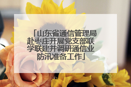 山东省通信管理局赴枣庄开展党支部联学联建并调研通信业防汛准备工作