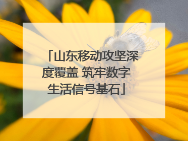 山东移动攻坚深度覆盖 筑牢数字生活信号基石
