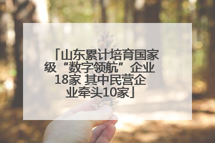 山东累计培育国家级“数字领航”企业18家 其中民营企业牵头10家
