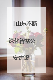 山东不断深化智慧公安建设