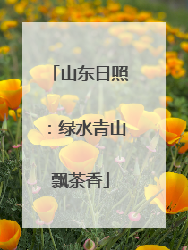 山东日照：绿水青山飘茶香