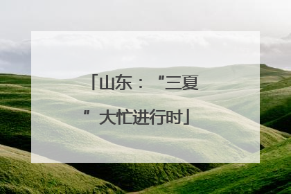 山东：“三夏”大忙进行时