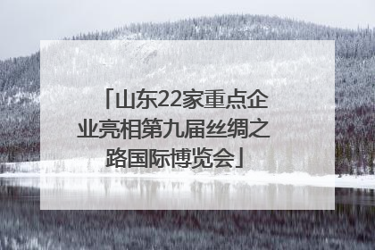 山东22家重点企业亮相第九届丝绸之路国际博览会