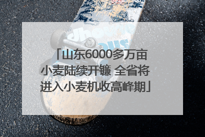 山东6000多万亩小麦陆续开镰 全省将进入小麦机收高峰期