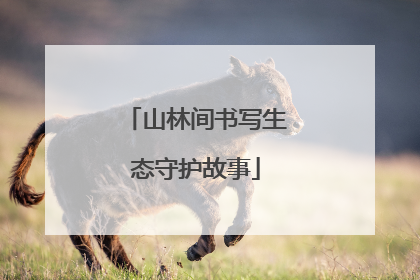山林间书写生态守护故事