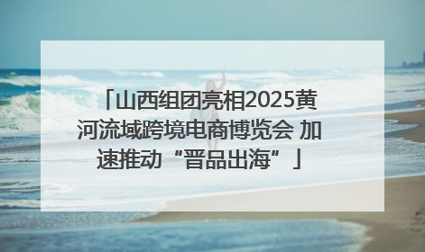 山西组团亮相2025黄河流域跨境电商博览会 加速推动“晋品出海”