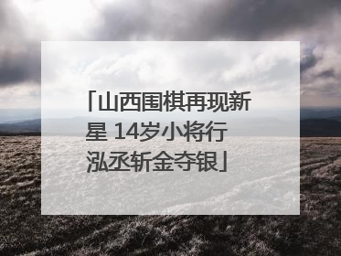 山西围棋再现新星 14岁小将行泓丞斩金夺银