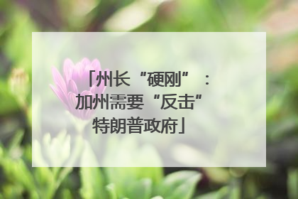 州长“硬刚”：加州需要“反击”特朗普政府