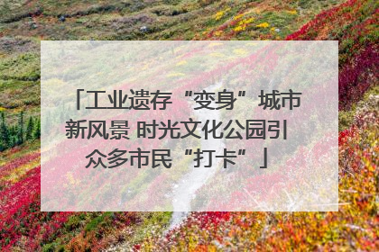 工业遗存“变身”城市新风景 时光文化公园引众多市民“打卡”