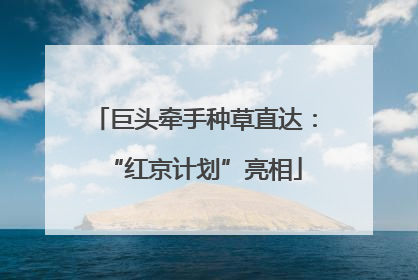 巨头牵手种草直达：“红京计划”亮相