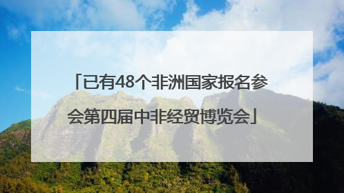 已有48个非洲国家报名参会第四届中非经贸博览会