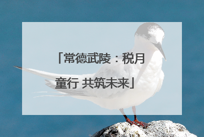 常德武陵：税月童行 共筑未来