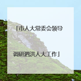 市人大常委会领导调研泗洪人大工作