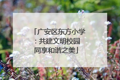 广安区东方小学：共建文明校园 同享和谐之美