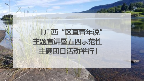 广西“区直青年说”主题宣讲暨五四示范性主题团日活动举行