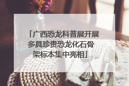 广西恐龙科普展开展 多具珍贵恐龙化石骨架标本集中亮相