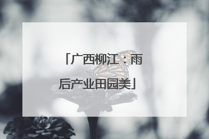 广西柳江：雨后产业田园美