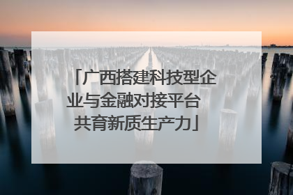 广西搭建科技型企业与金融对接平台 共育新质生产力
