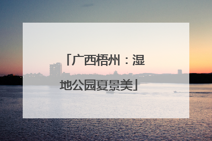 广西梧州：湿地公园夏景美